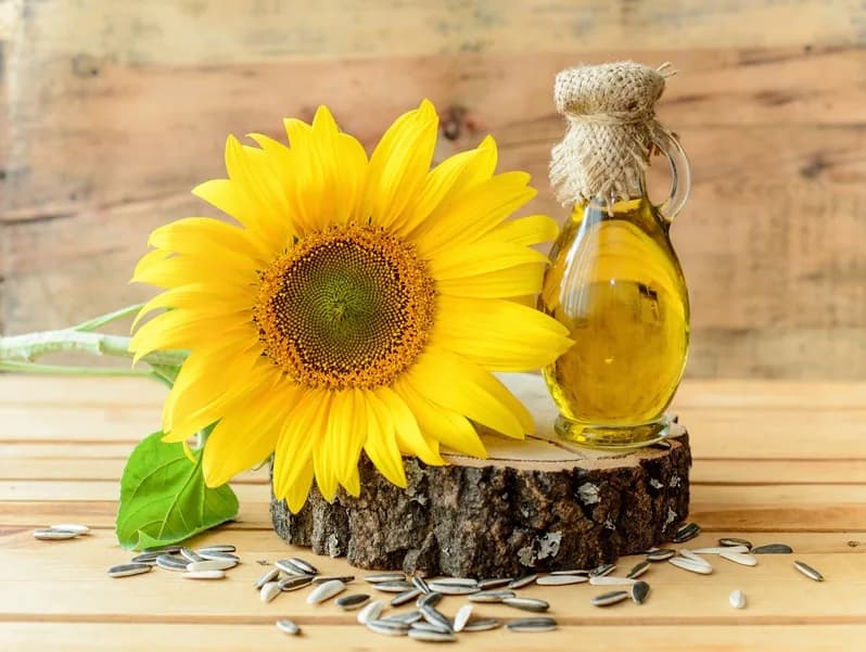 Huile de tournesol bio